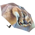 RainLab CaracalCat