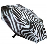 RainLab Zebra