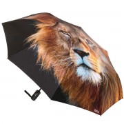 RainLab Lion