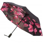 RainLab 142DB-CherryBlossoms